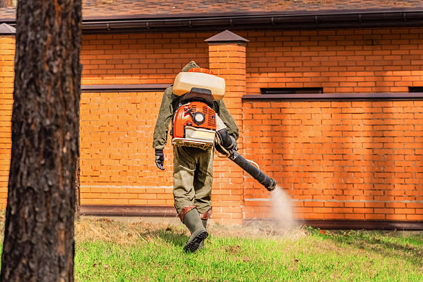 Trusted Cockroach Control service in Kaibab Estates West, AZ - Nex Pest Control